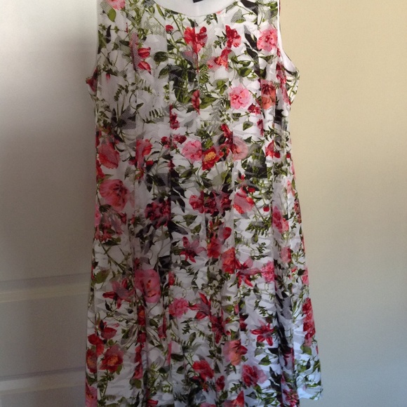 Dress - Picture 4 of 4